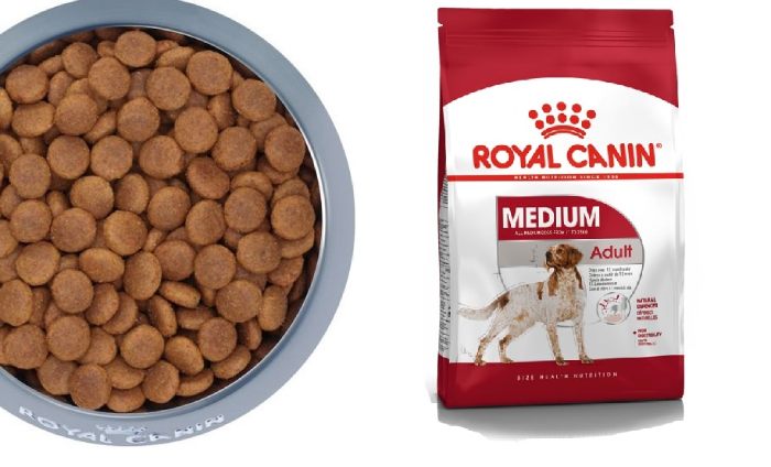 Với những đặc điểm nổi bật đã đề cập ở trên về các sản phẩm thức ăn cho chó Royal Canin (Nguồn: Internet)