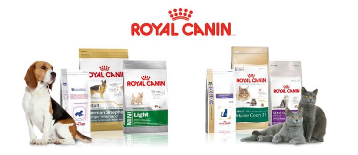 Hiện nay trên thị trường có rất nhiều loại hàng thức ăn khô cho chó. Nhưng hôm nay Petnus chỉ đề cập tới thức ăn khô Royal Canin (Nguồn: Internet)