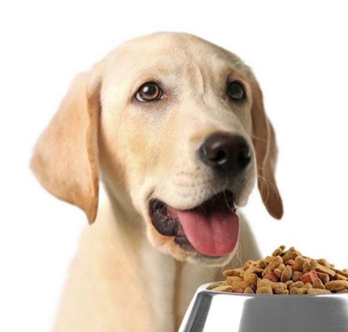 Thức ăn cho chó Classic Pets được làm từ các nguyên liệu an toàn như bột đậu nành, bắp, bột sắn, mỡ gia cầm, bột gia cầm, cám gạo (Nguồn: Internet)