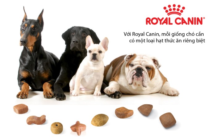 Royal Canin đã có những nghiên cứu rất sâu nhằm tạo ra nhiều dòng sản phẩm (Nguồn: Internet)