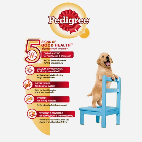 Túi thức ăn cho chó Pedigree là nốt thương hiệu được sản xuất từ nước Mỹ. Chất lượng của nó cũng đã được thị trường tự kiểm chứng qua nhiều năm qua (Nguồn: Internet)