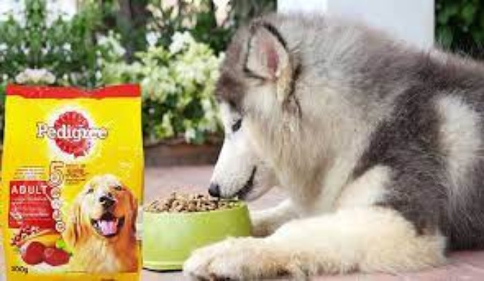 Đặc biệt, hiện tại Petnus đang kinh doanh và buôn bán các sản phẩm thức ăn cho chó đảm bảo tuyệt đối 100% hàng chính hãng, (Nguồn: Internet)