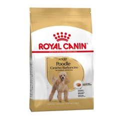 Thức ăn cho chó Poodle Royal Canin